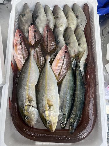 鮮魚BOX約4.2kg(定置)