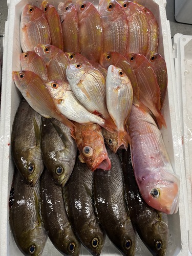 鮮魚BOX約6kg