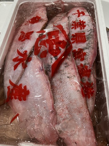 アカシタビラメ10入約5kg