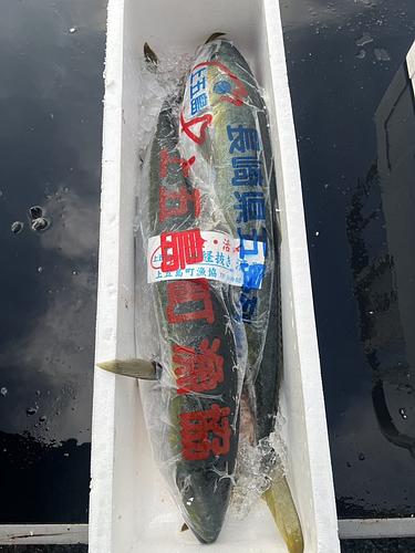 ワラサ約13k2入約13kg(定置)