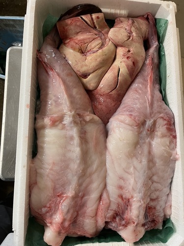 アンコウ（ムキ身）(底曳)
