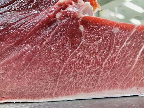 本マグロ【業務用の鮮魚仕入れならウーオ】