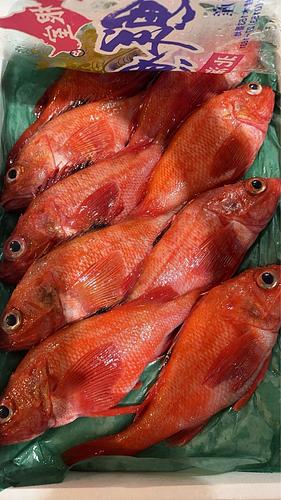 キチジ9入約3kg